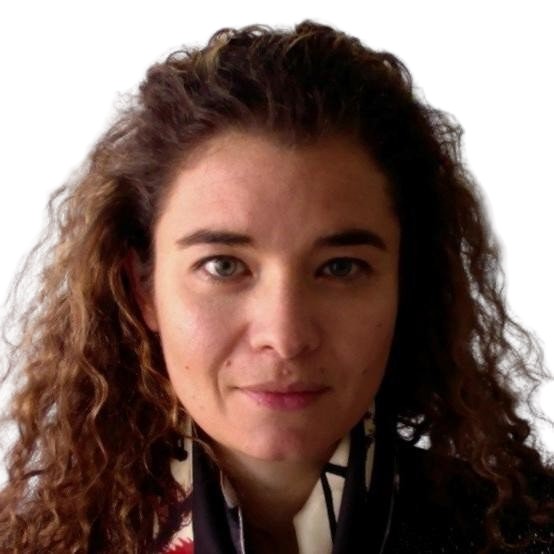 Silvia Allegrezza - external expert