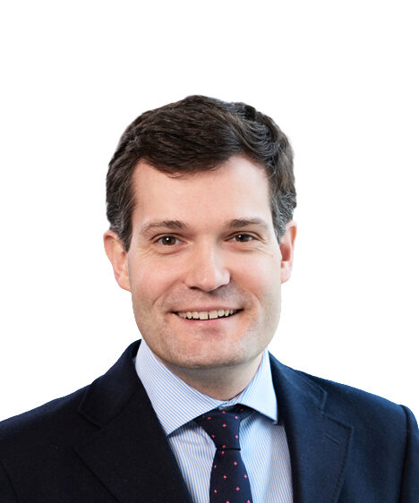 Nicolas Pourbaix - external expert